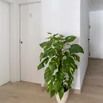 Hotel Oasis Centro *